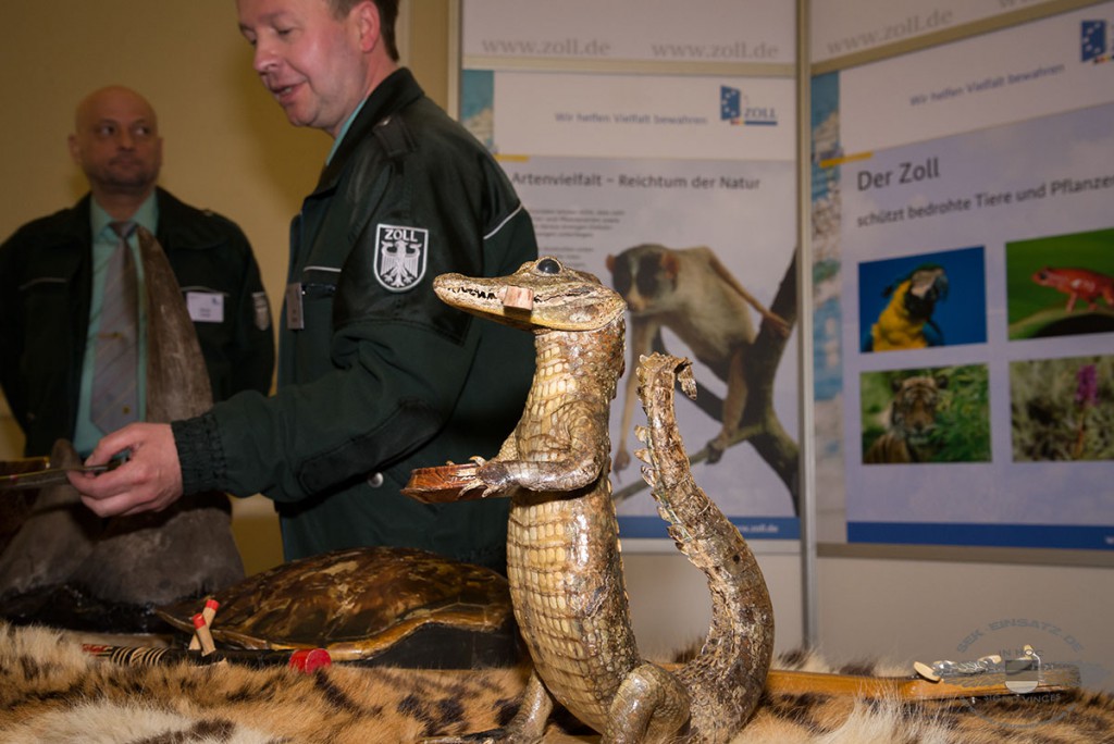 Zoll: Internationaler Tag des Artenschutzes