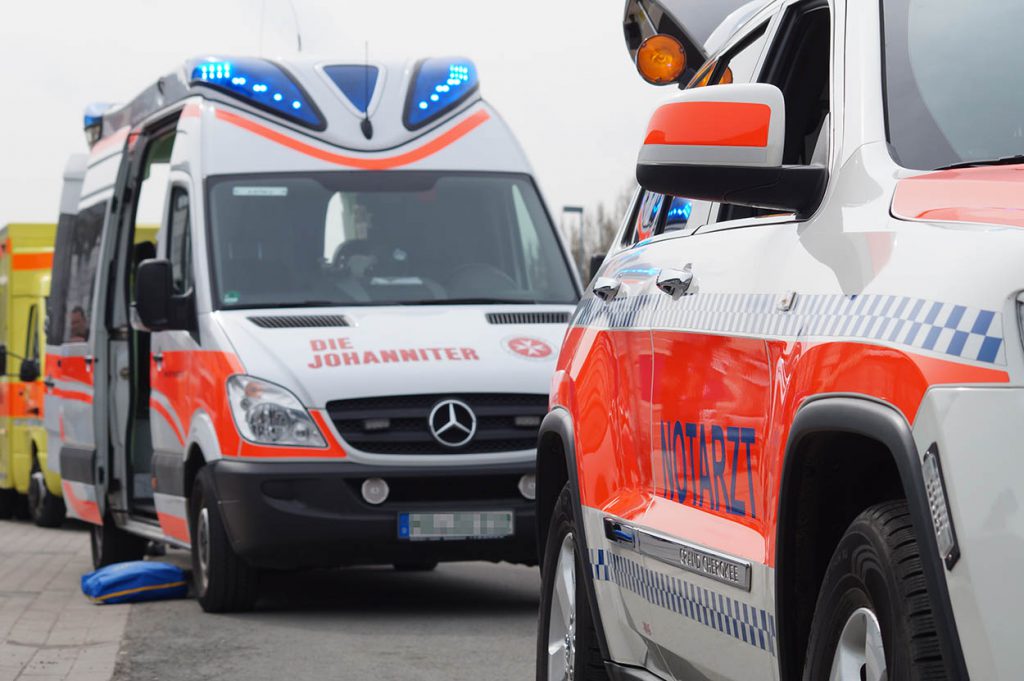 Hund beißt 72-jährige Frau tot